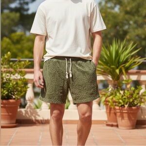 Chubbies The Hazy Pineapples Lounge Shorts Velour Terry 5.5" size Small